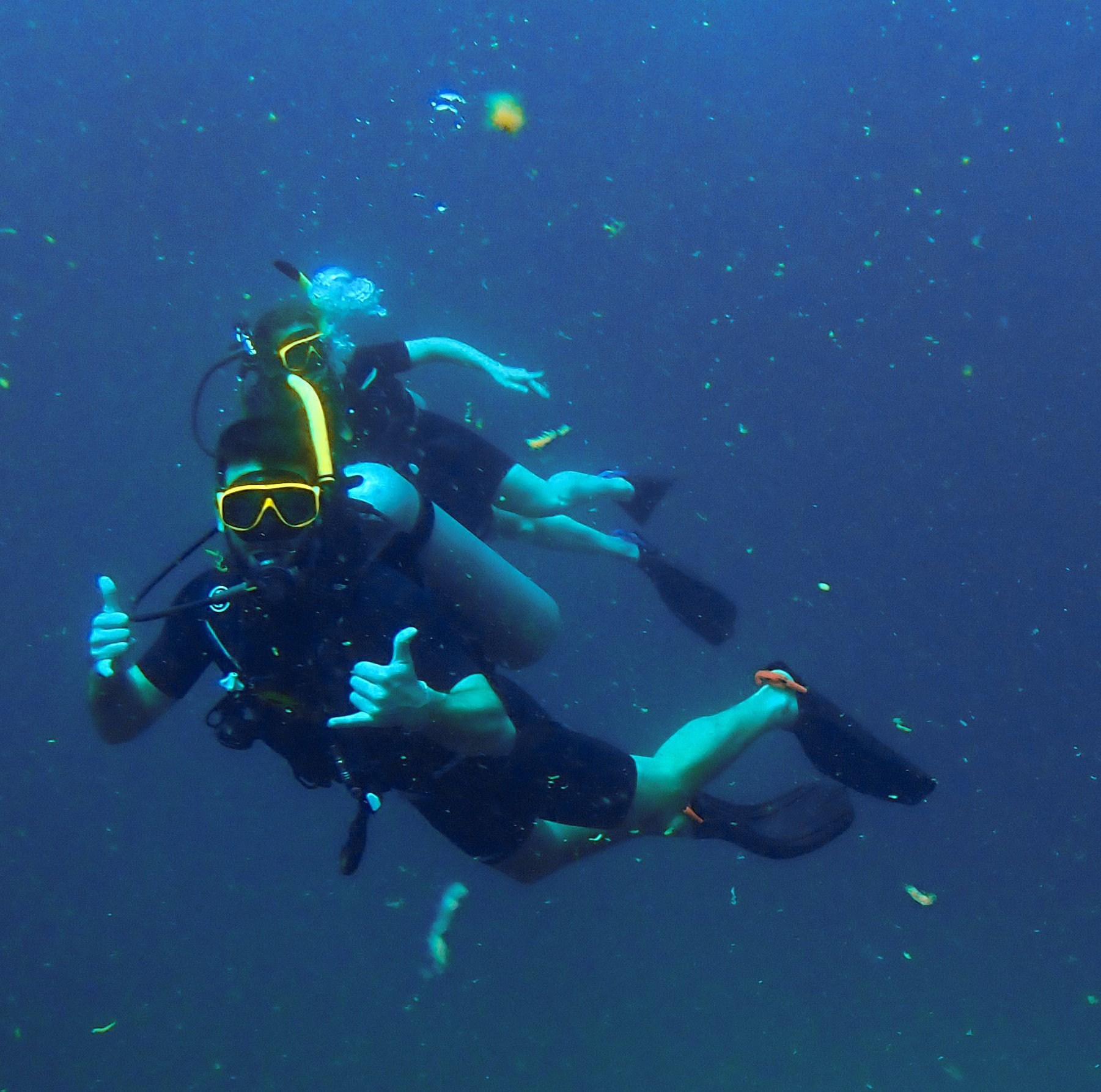 scubadiving